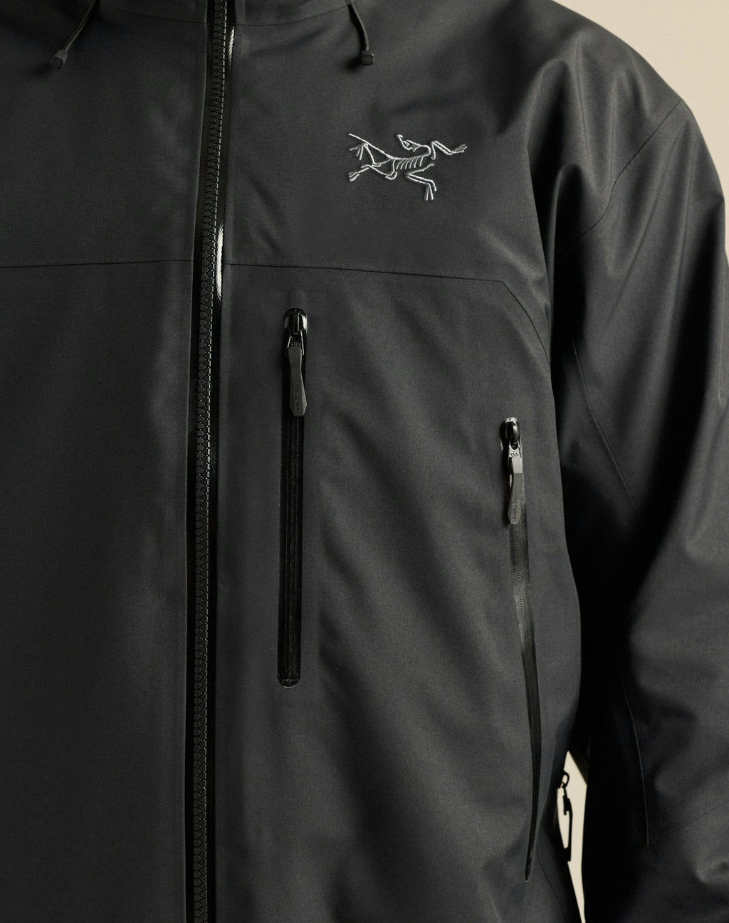 Arc'teryx Beta Men's GORE-TEX Waterproof Hiking Jacket - Black