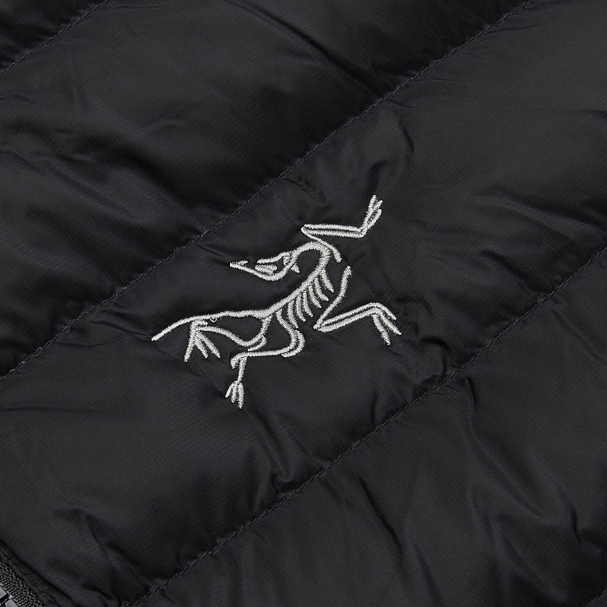 Arc'teryx Cerium Series Men's Hooded Down Jacket "Black"