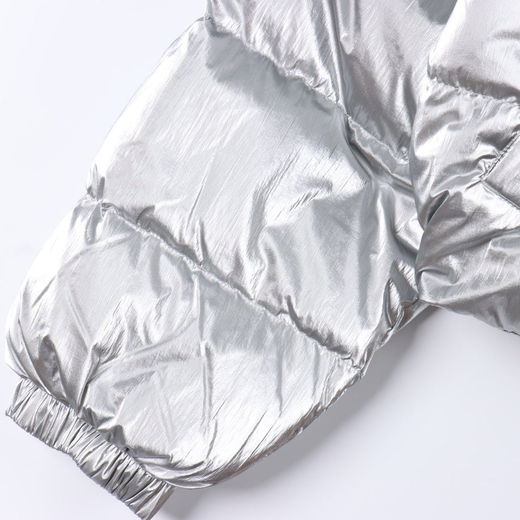 The North Face Retro Puffer Goose Down Jacket "Silver"