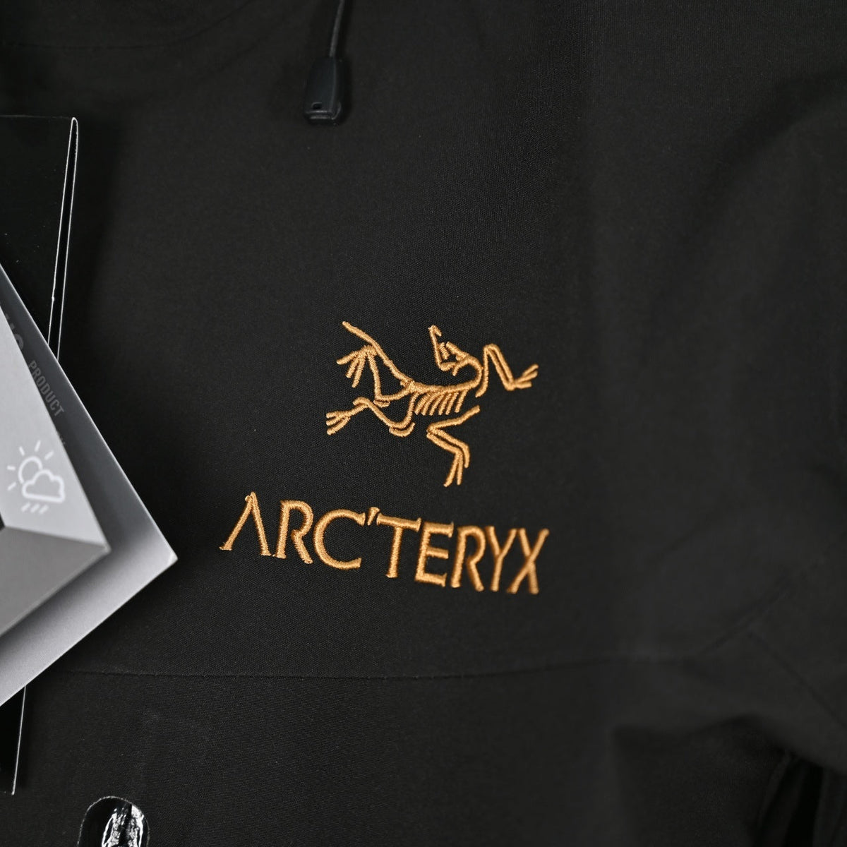 Arc'teryx Ski Series GORE-TEX Waterproof Hooded Jacket "Black"
