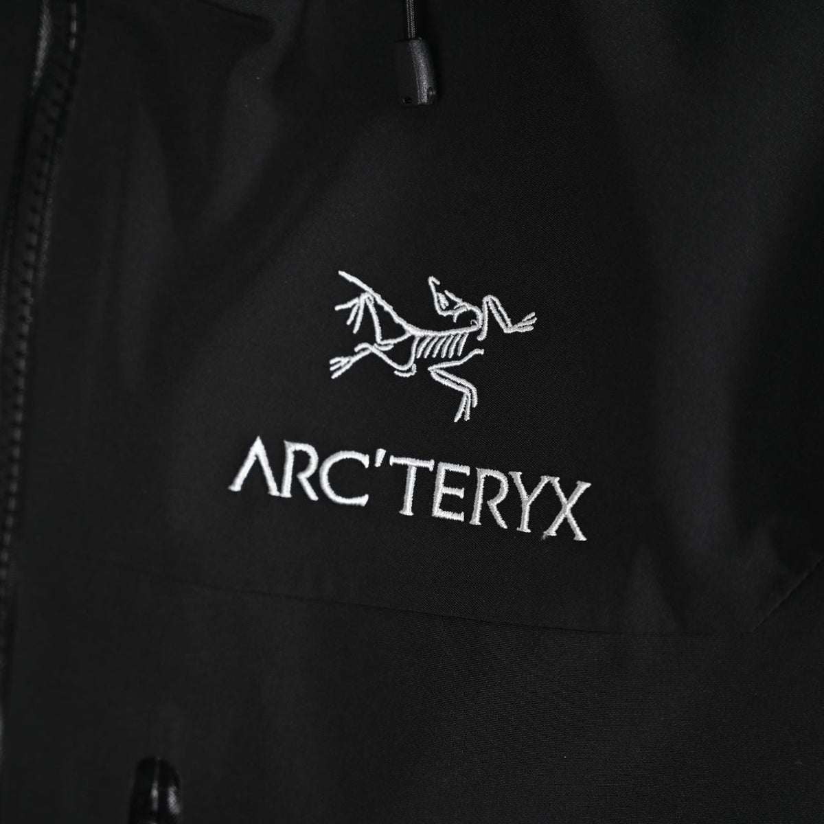Arc'teryx Ski Series GORE-TEX Pro Insulated Hooded Jacket "Black"